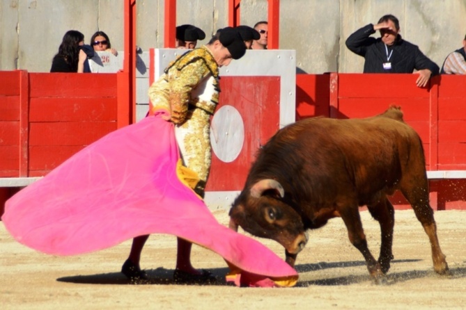 Une Primavera fructueuse pour les élèves du CFT Une Primavera fructueuse pour les élèves du CFT
