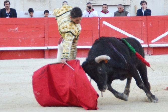 Une Primavera fructueuse pour les élèves du CFT Une Primavera fructueuse pour les élèves du CFT
