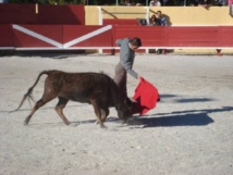 Capéa de Gimeaux - 15 avril 2014 Capéa de Gimeaux - 15 avril 2014