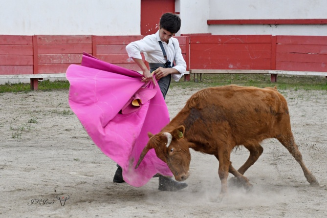 Pour le CFT, c'est la rentrée en fanfare ! Pour le CFT, c'est la rentrée en fanfare !