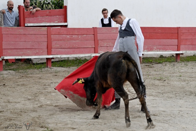 Pour le CFT, c'est la rentrée en fanfare ! Pour le CFT, c'est la rentrée en fanfare !