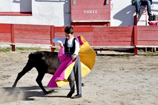 Pablo por chicuelina