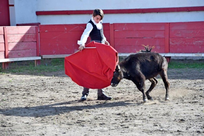 PAOLO faisant un retour remarqué PAOLO faisant un retour remarqué