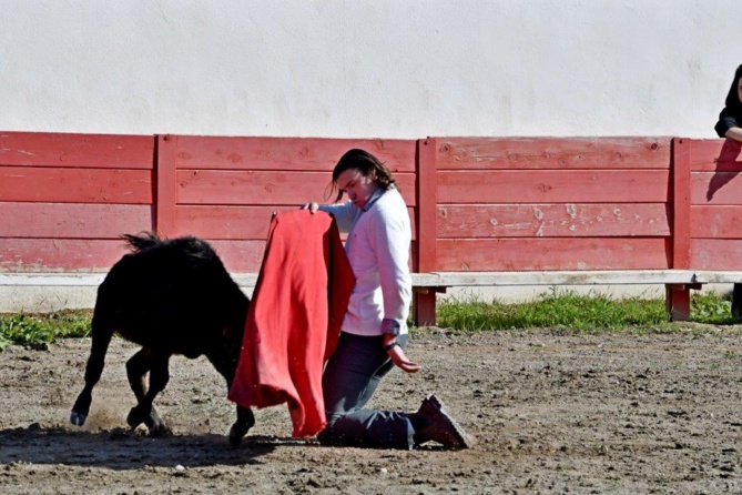 ELIO dans une série de rodillas ELIO dans une série de rodillas