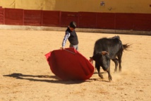 Solalito vainqueur du Trophée Jovencito d'Ouest Provence... Solalito vainqueur du Trophée Jovencito d'Ouest Provence...