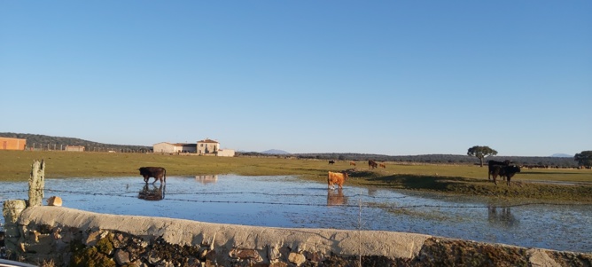 Lumière sur le campo charro Lumière sur le campo charro