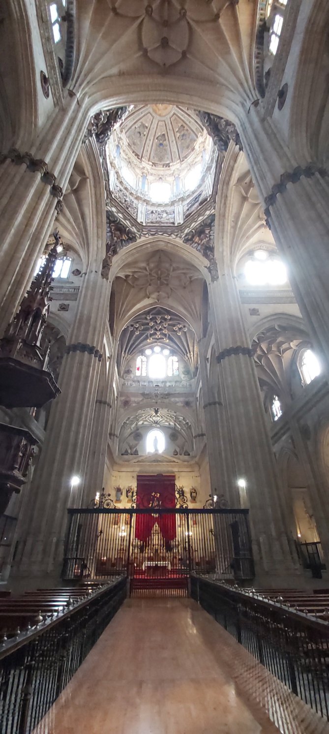 La Cathédrale de Salamanca