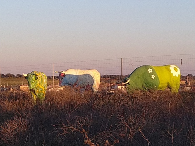 Ils sont fake ces toros ! Ils sont fake ces toros !