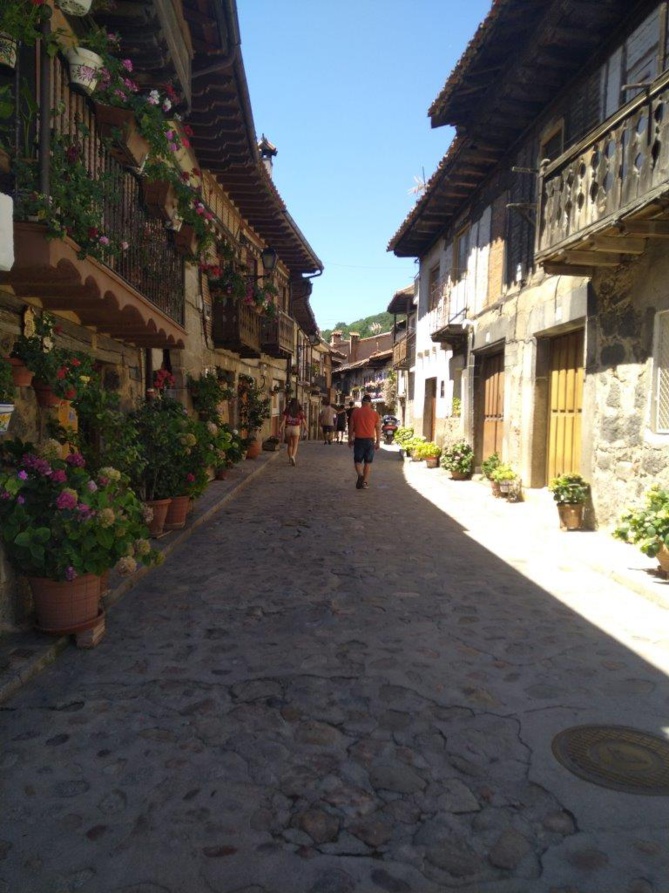 Si on avait utilisé le "matador", Rafael aurait coupé une queue ... Si on avait utilisé le "matador", Rafael aurait coupé une queue ...