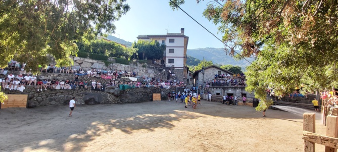 Si on avait utilisé le "matador", Rafael aurait coupé une queue ... Si on avait utilisé le "matador", Rafael aurait coupé une queue ...
