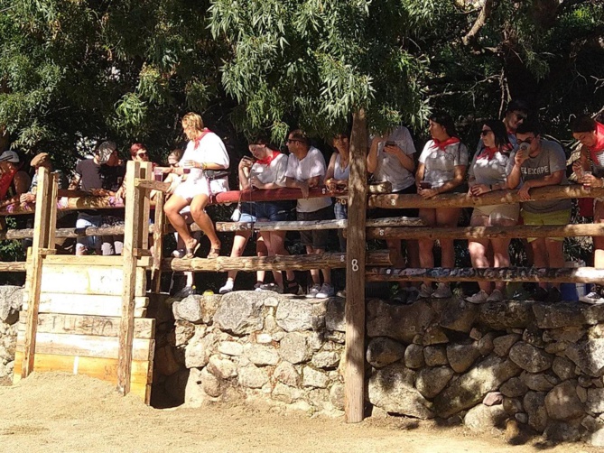 Si on avait utilisé le "matador", Rafael aurait coupé une queue ... Si on avait utilisé le "matador", Rafael aurait coupé une queue ...