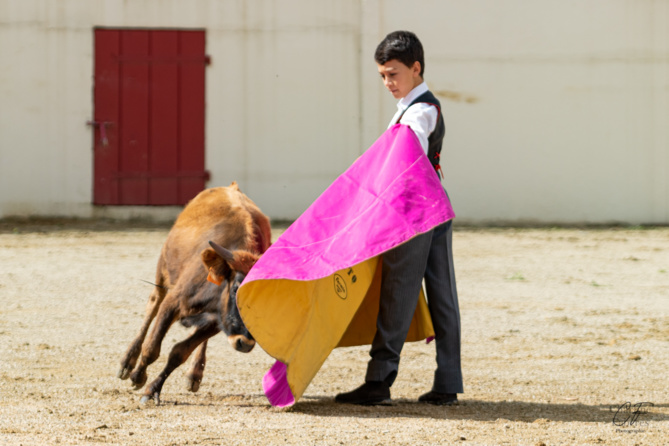Bon sang ne saurait mentir Bon sang ne saurait mentir