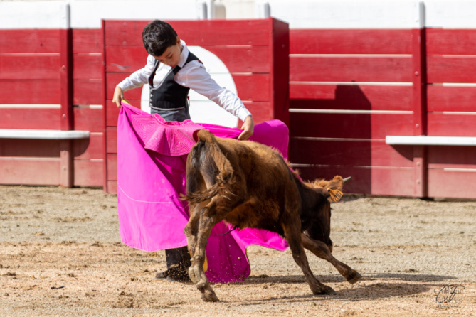 Bon sang ne saurait mentir Bon sang ne saurait mentir