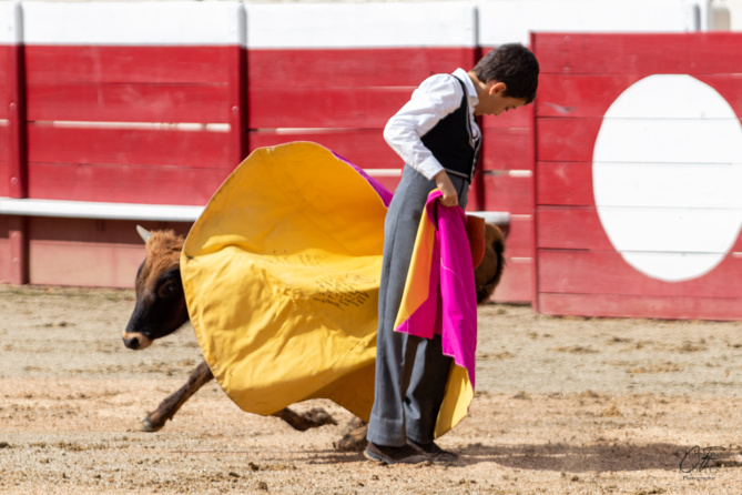 Bon sang ne saurait mentir Bon sang ne saurait mentir