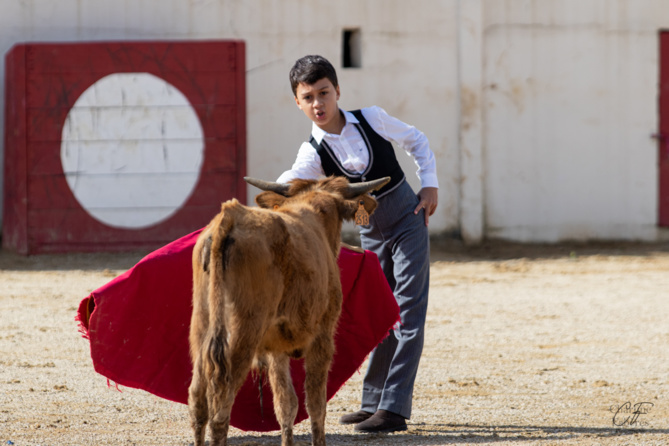 Bon sang ne saurait mentir Bon sang ne saurait mentir
