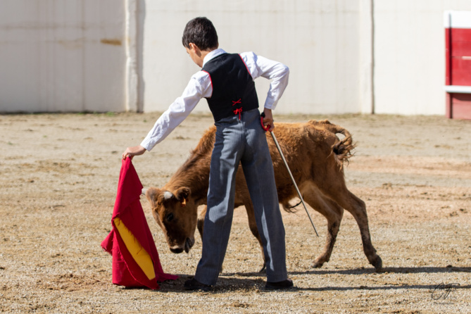 Bon sang ne saurait mentir Bon sang ne saurait mentir