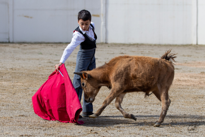 Bon sang ne saurait mentir Bon sang ne saurait mentir