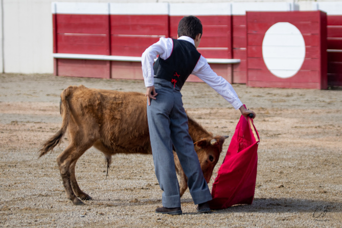 Bon sang ne saurait mentir Bon sang ne saurait mentir