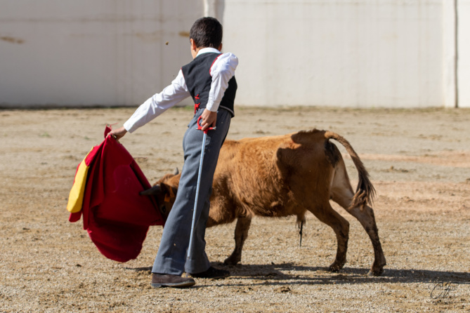 Bon sang ne saurait mentir Bon sang ne saurait mentir