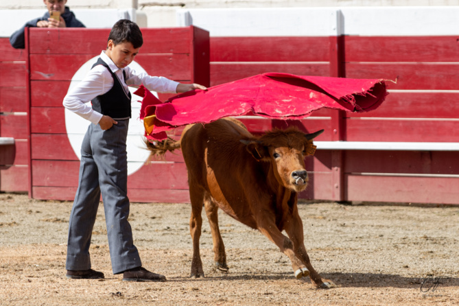 Bon sang ne saurait mentir Bon sang ne saurait mentir