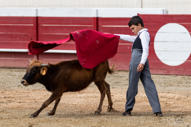 Bon sang ne saurait mentir Bon sang ne saurait mentir