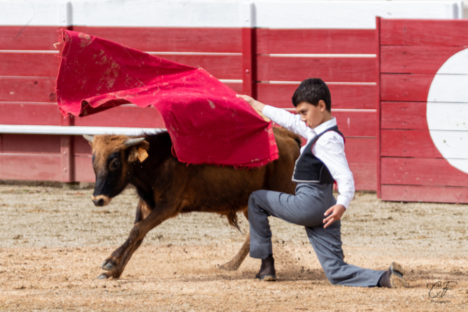 Bon sang ne saurait mentir Bon sang ne saurait mentir