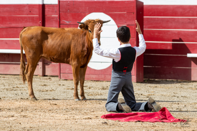 Bon sang ne saurait mentir Bon sang ne saurait mentir
