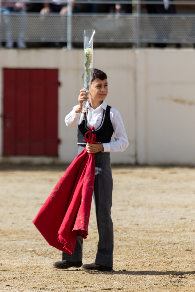 Bon sang ne saurait mentir Bon sang ne saurait mentir