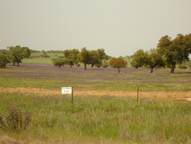 Histoire ordinaire d'un Stage 2015...pas ordinaire ! Histoire ordinaire d'un Stage 2015...pas ordinaire !