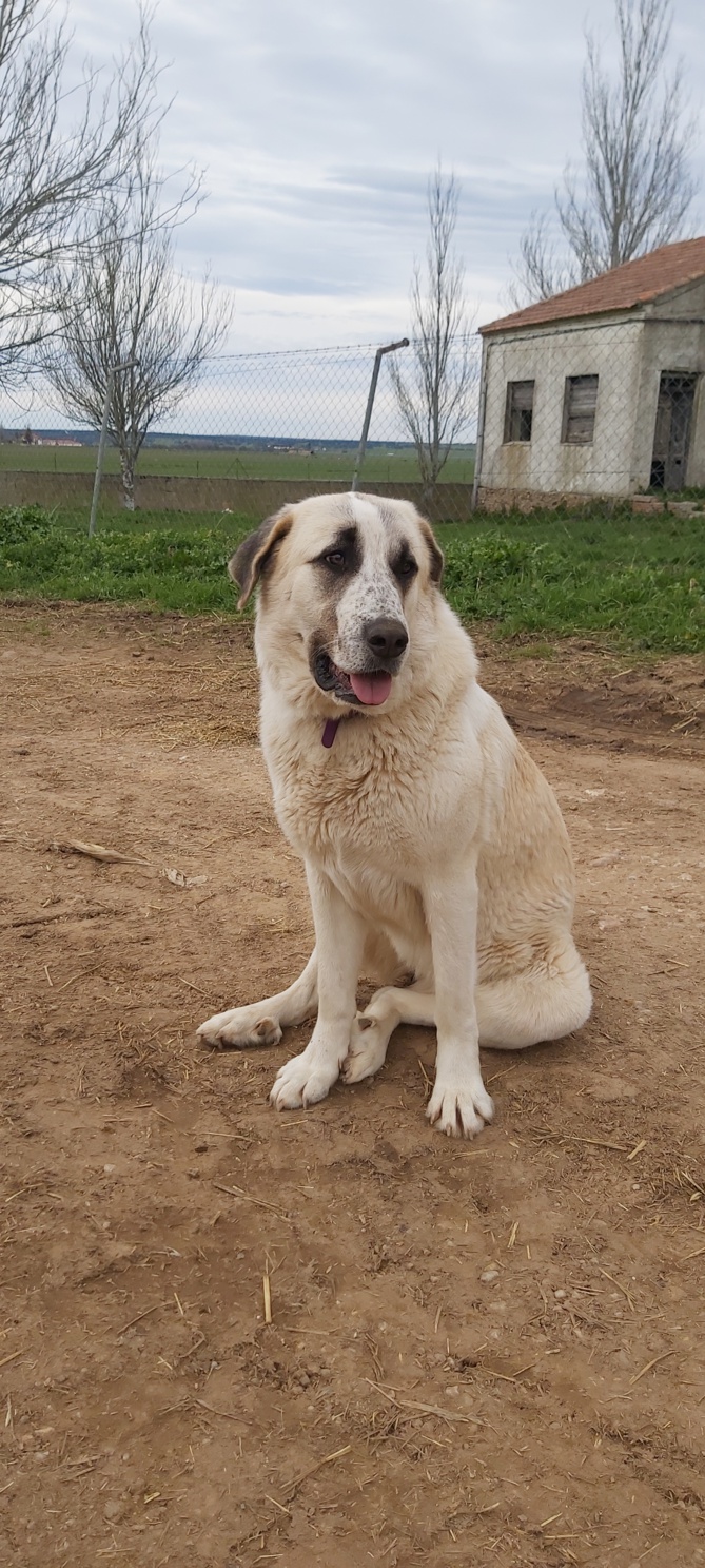 Chroniques salmantines 2024 : Mercredi Chroniques salmantines 2024 : Mercredi