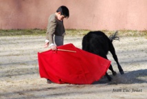 Nino a la Ganaderia La Paluna