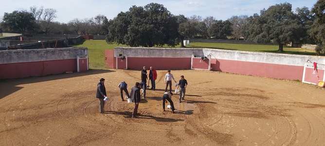 Chroniques salmantines 2025 Chroniques salmantines 2025