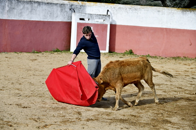 Chroniques salmantines 2025 Chroniques salmantines 2025