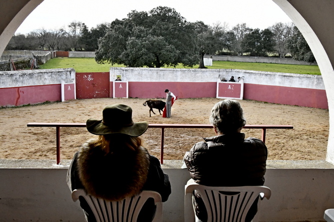 Chroniques salmantines 2025 Chroniques salmantines 2025