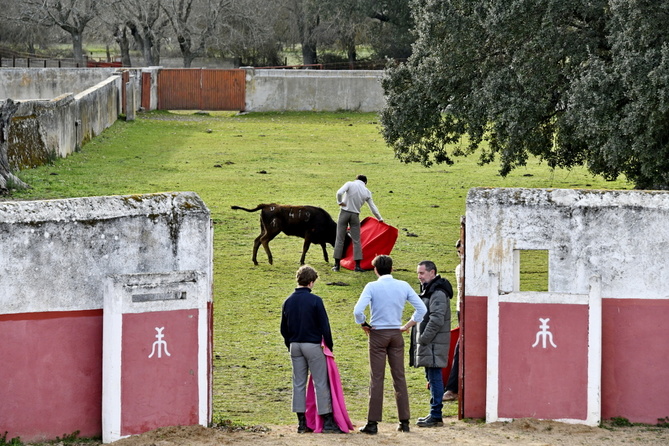 Chroniques salmantines 2025 Chroniques salmantines 2025