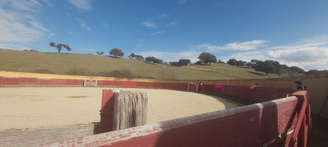 Chroniques salmantines 2025 Chroniques salmantines 2025