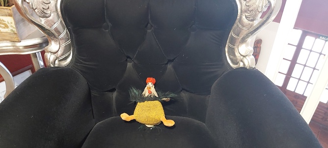 Chroniques salmantines 2025. Chroniques salmantines 2025.