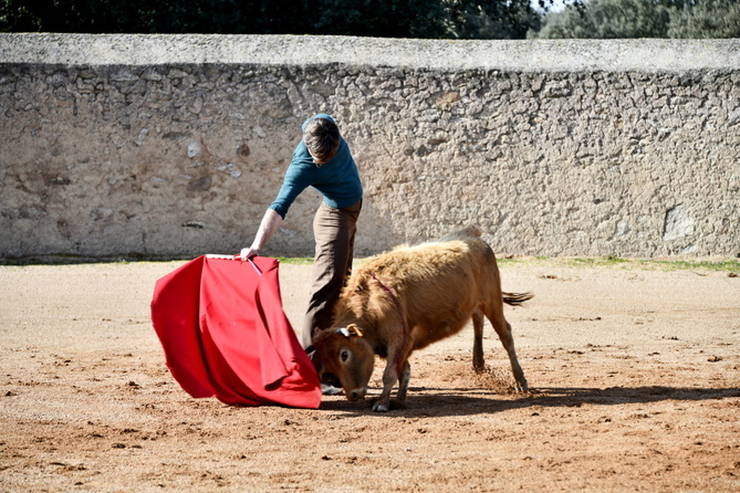 Chroniques salmantines 2026 - L'arrivée Chroniques salmantines 2026 - L'arrivée