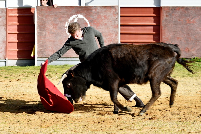 Chroniques salmantines 2026 - Jour 3 Chroniques salmantines 2026 - Jour 3