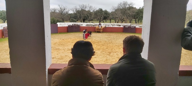 Chroniques salmantines 2026 - Jour 6 et fin... Chroniques salmantines 2026 - Jour 6 et fin...