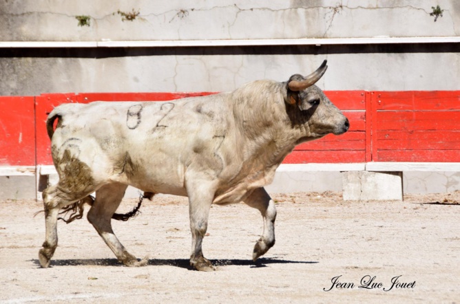 Un weekend non stop pour les élèves du C.F.T. Un weekend non stop pour les élèves du C.F.T.