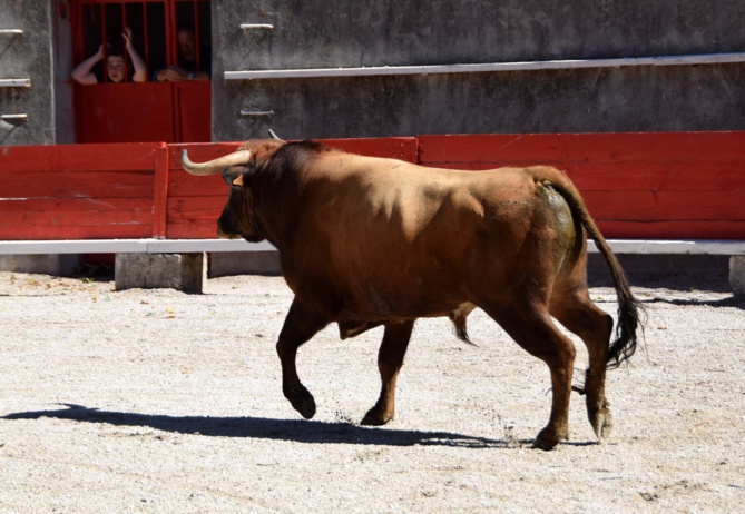 Un weekend non stop pour les élèves du C.F.T. Un weekend non stop pour les élèves du C.F.T.