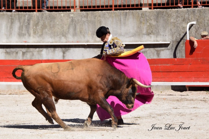 CFT que choisir ? CFT que choisir ?