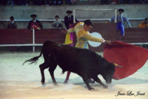 Noticias :..