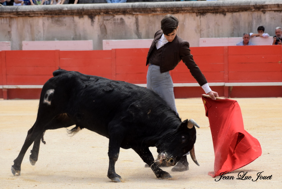 Rafael dans une naturelle relachée