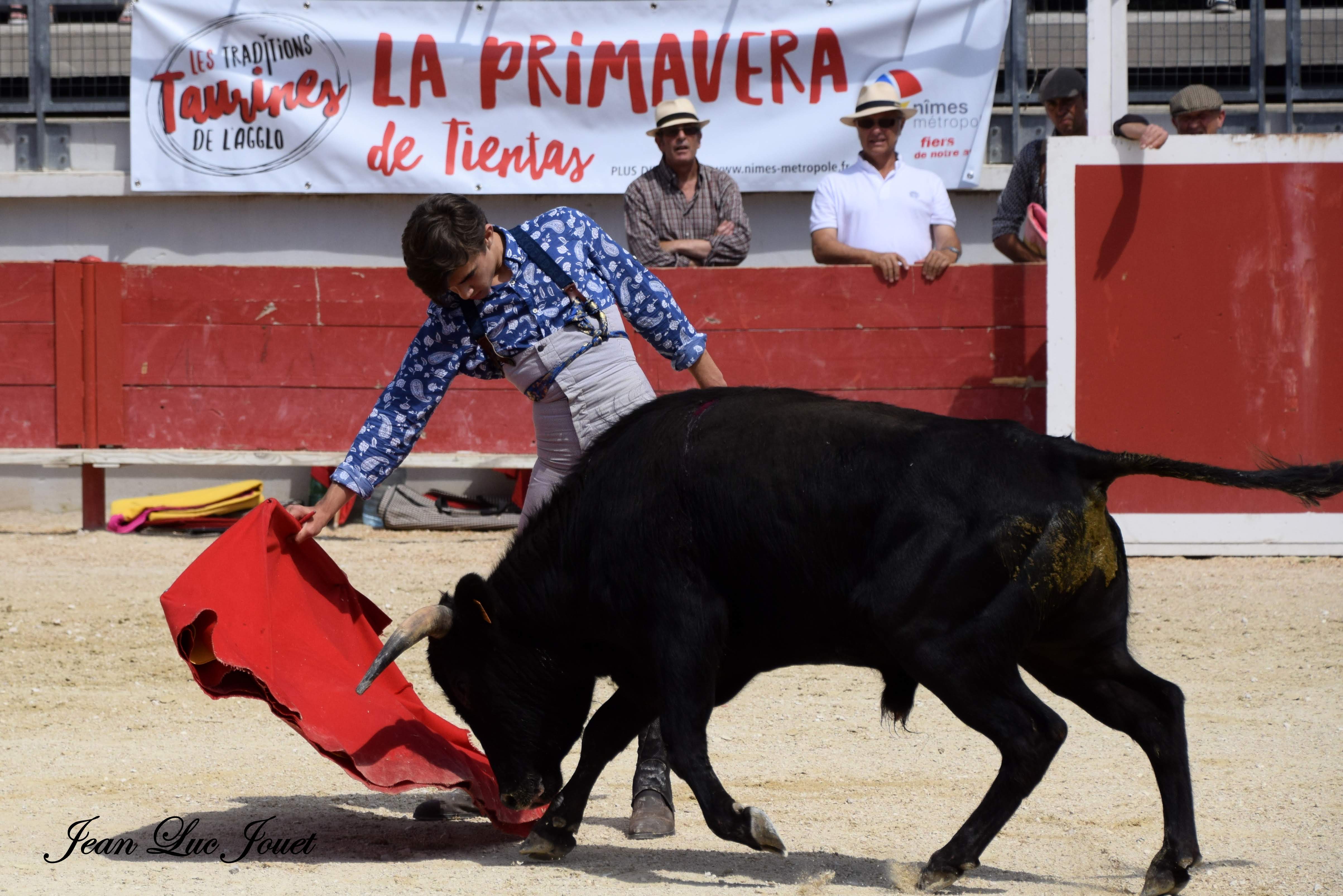 Primavera des Tientas