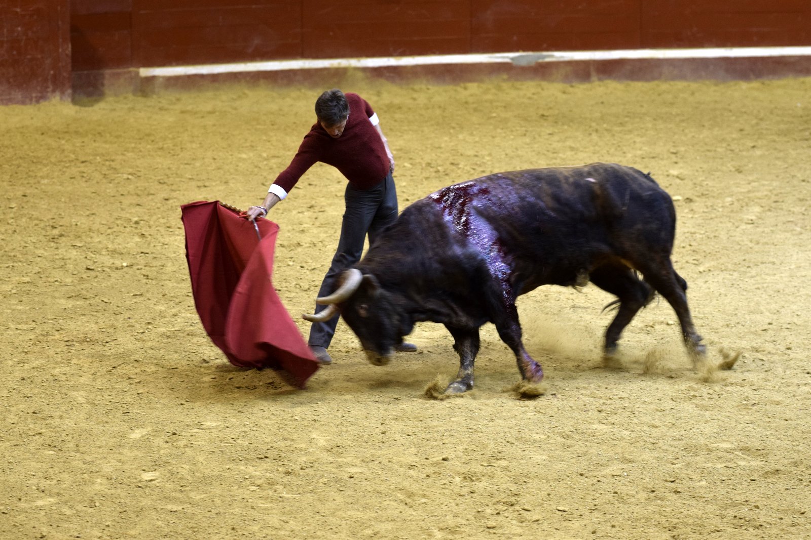 Chronique d'une vuelta du CFT entre Amateurs et Professionnels … 