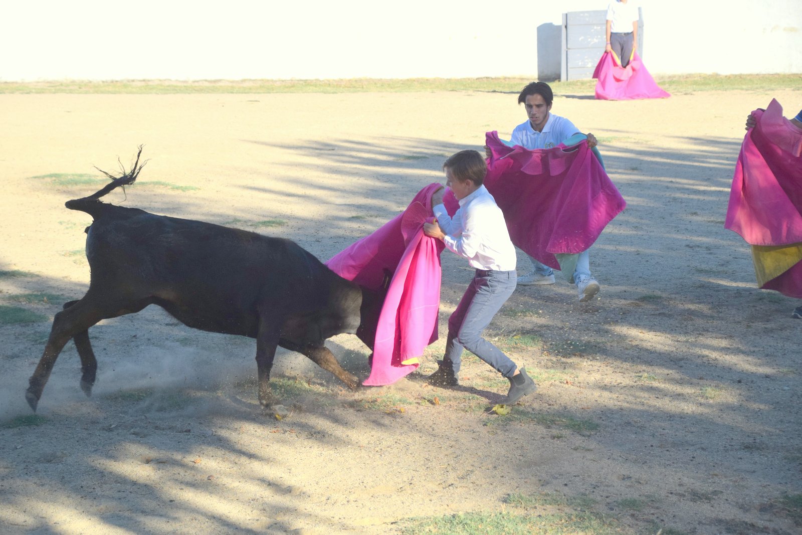 Pour certains d'entre eux, c'était une première fois... Pour certains d'entre eux, c'était une première fois...
