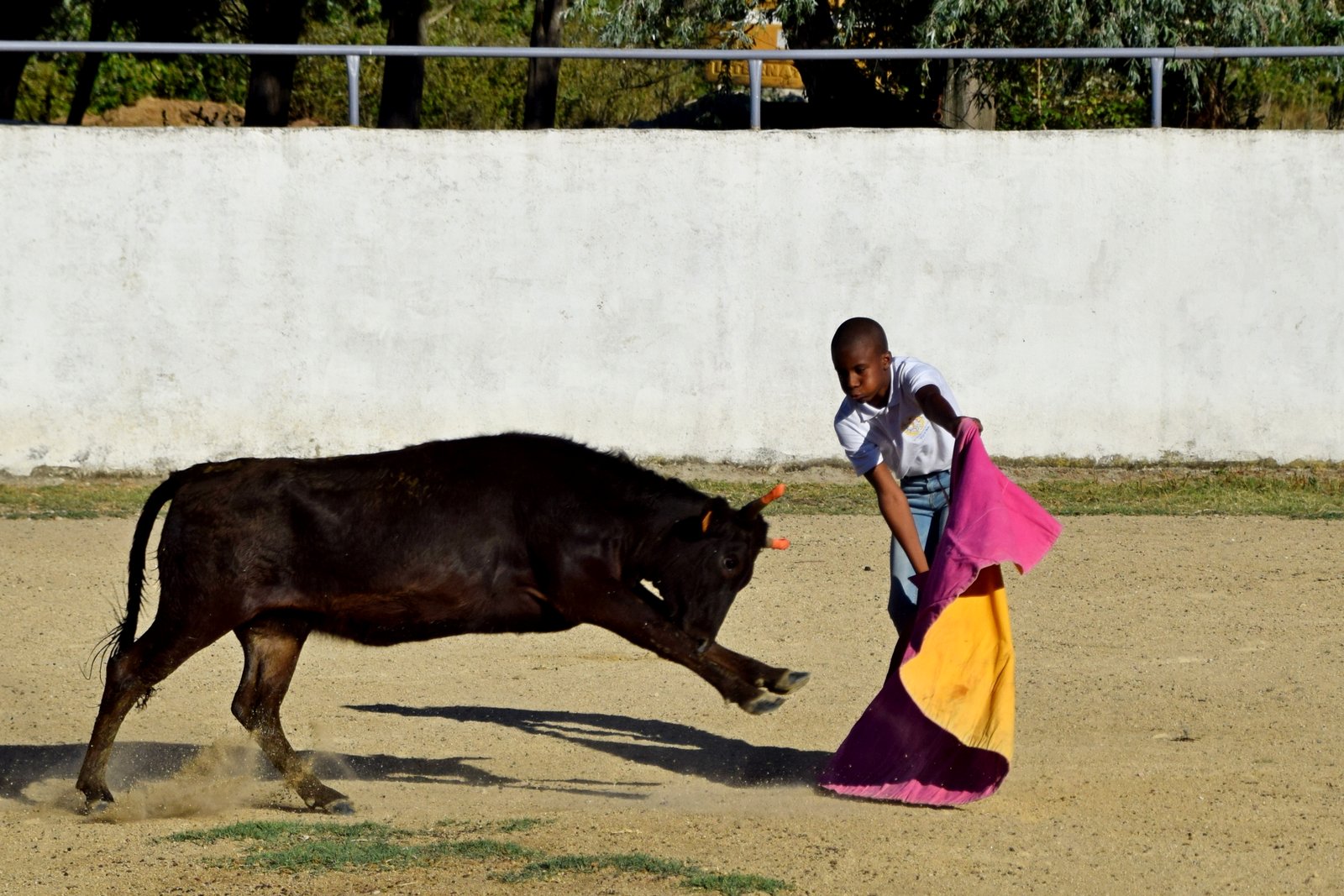 Un grand MERCI aux manadiers Camargue… Un grand MERCI aux manadiers Camargue…