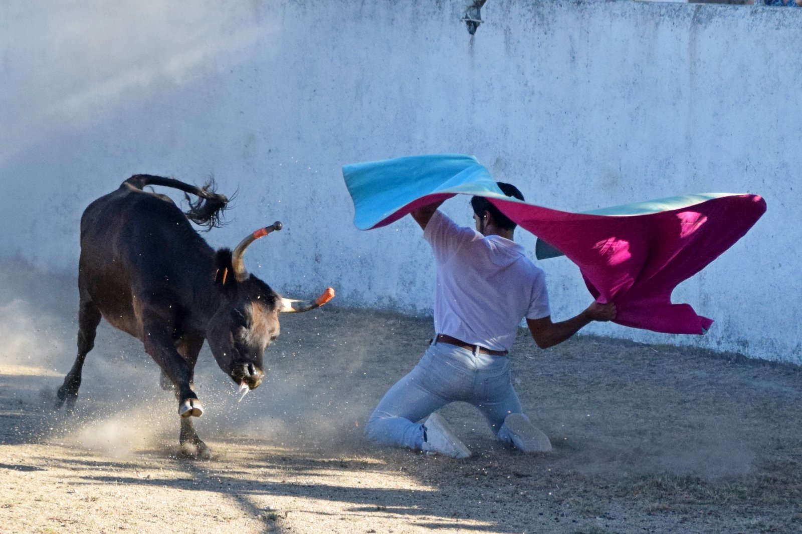 ​Un grand MERCI aux manadiers Camargue…